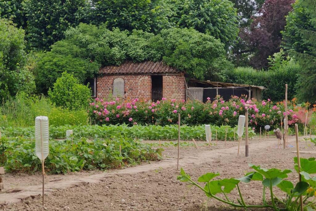 Uw Eigen Boerderij Bij Le Moulin De La Place Hargicourt Exteriör bild