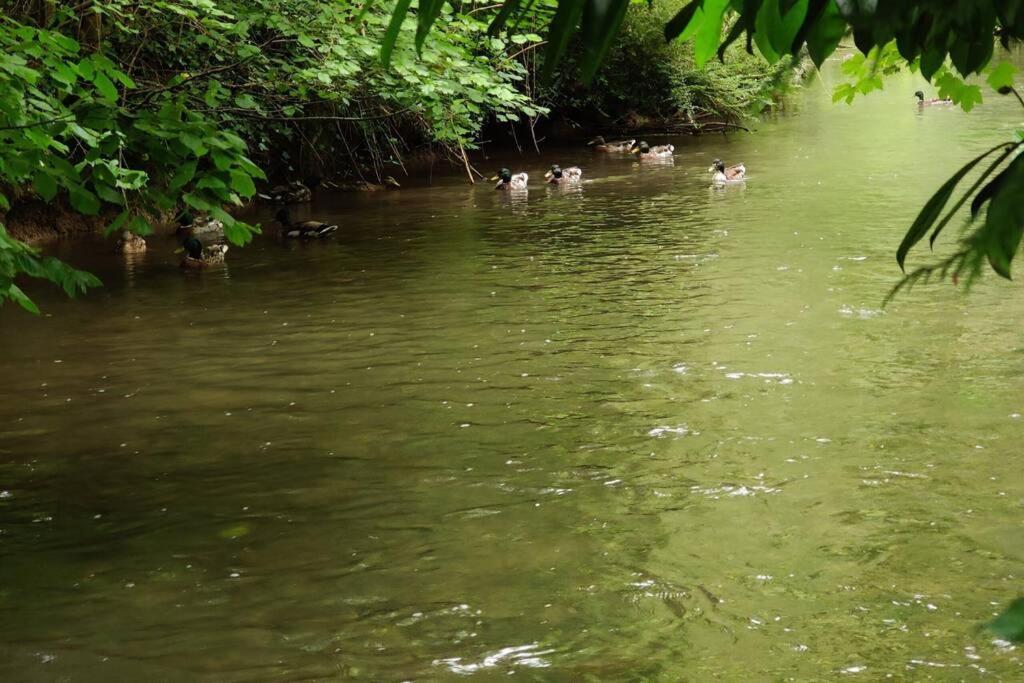 Uw Eigen Boerderij Bij Le Moulin De La Place Hargicourt Exteriör bild